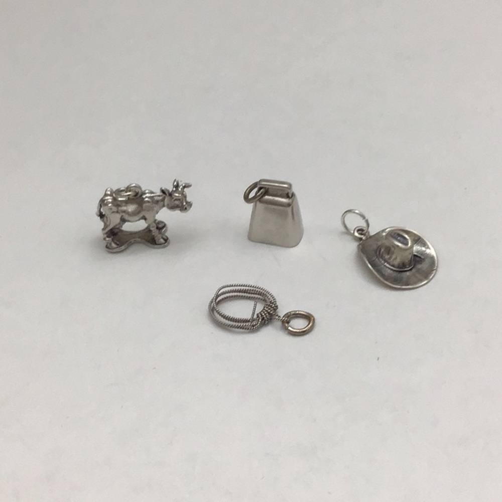 Sterling western charms